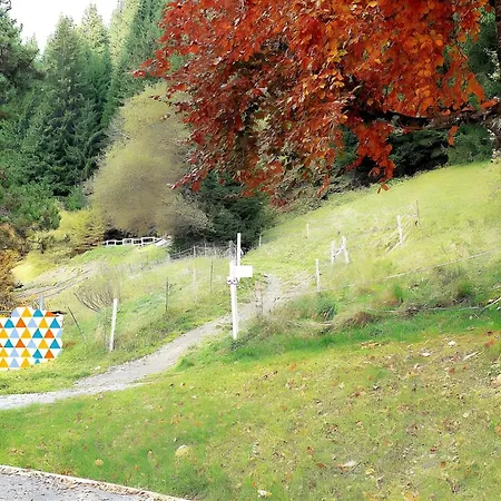 Gentiane 4 Pers - Proche Pistes Lägenhet